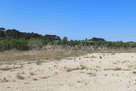 Landejendom i Caudete, Albacete, Caudete - € 165.000 | Ref: SF0576 - foto 28